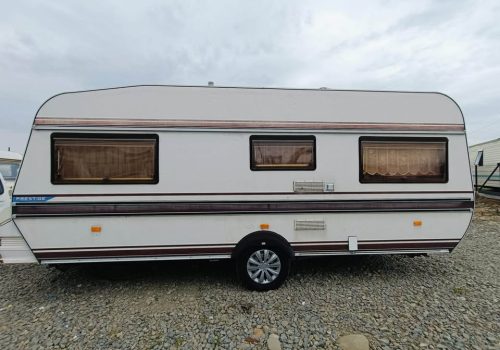 454495122_1218688519562427_400429576115126051_n